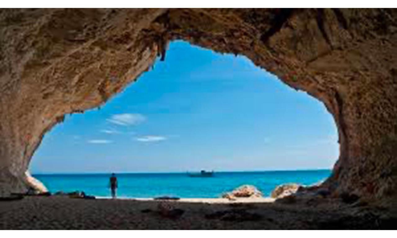 Vicol8 * Dorgali